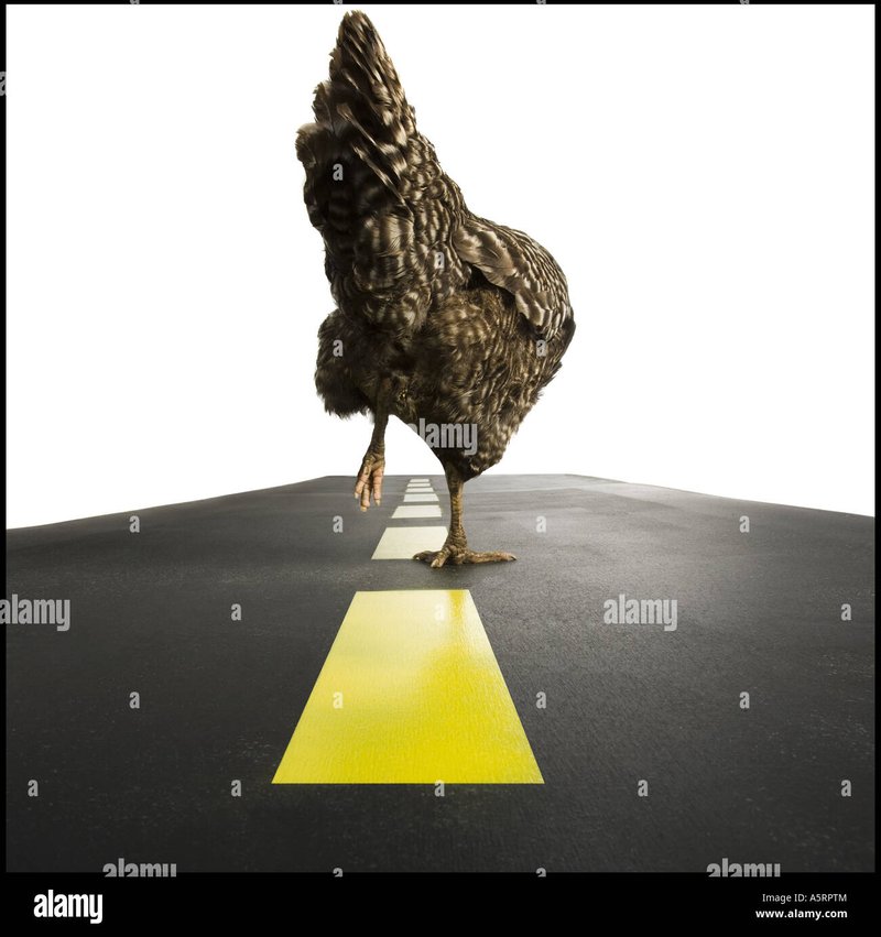 Descoperă Mysteriile Drumeției Galinilor la Jocul de Noroc online Chicken Road în Romania Descoperă Mysteriile Drumeției Galinilor la Jocul de Noroc online Chicken Road în Romania